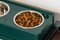 IRIS USA Elevated Dog Food Bowl with Airtight Pet Food Storage Container